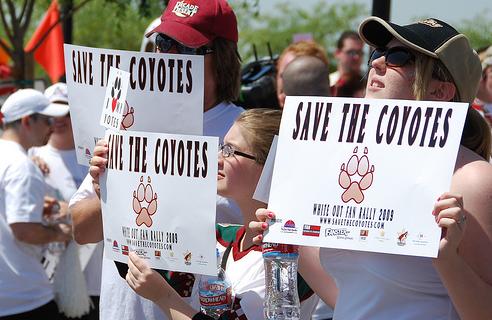 Save the Coyotes