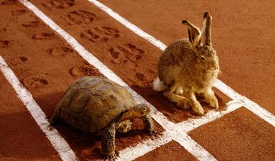 Slow and Steady wins the race