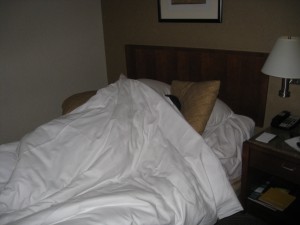 IMG 0726