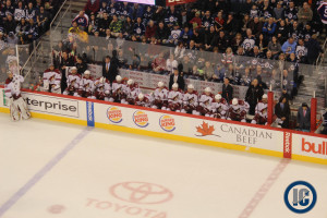 Coyotes bench (January 13, 2014)