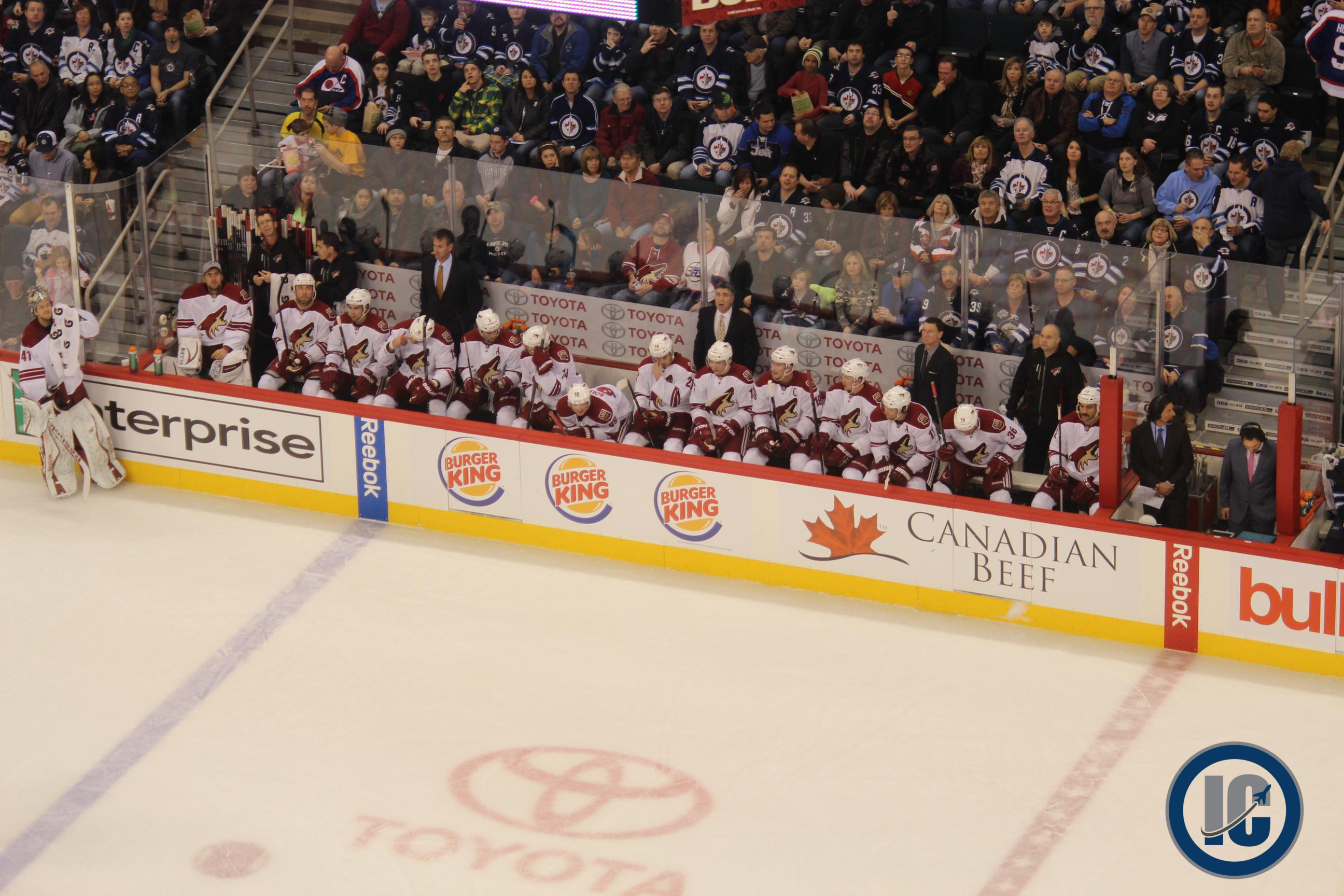 Coyotes bench January 13 2014