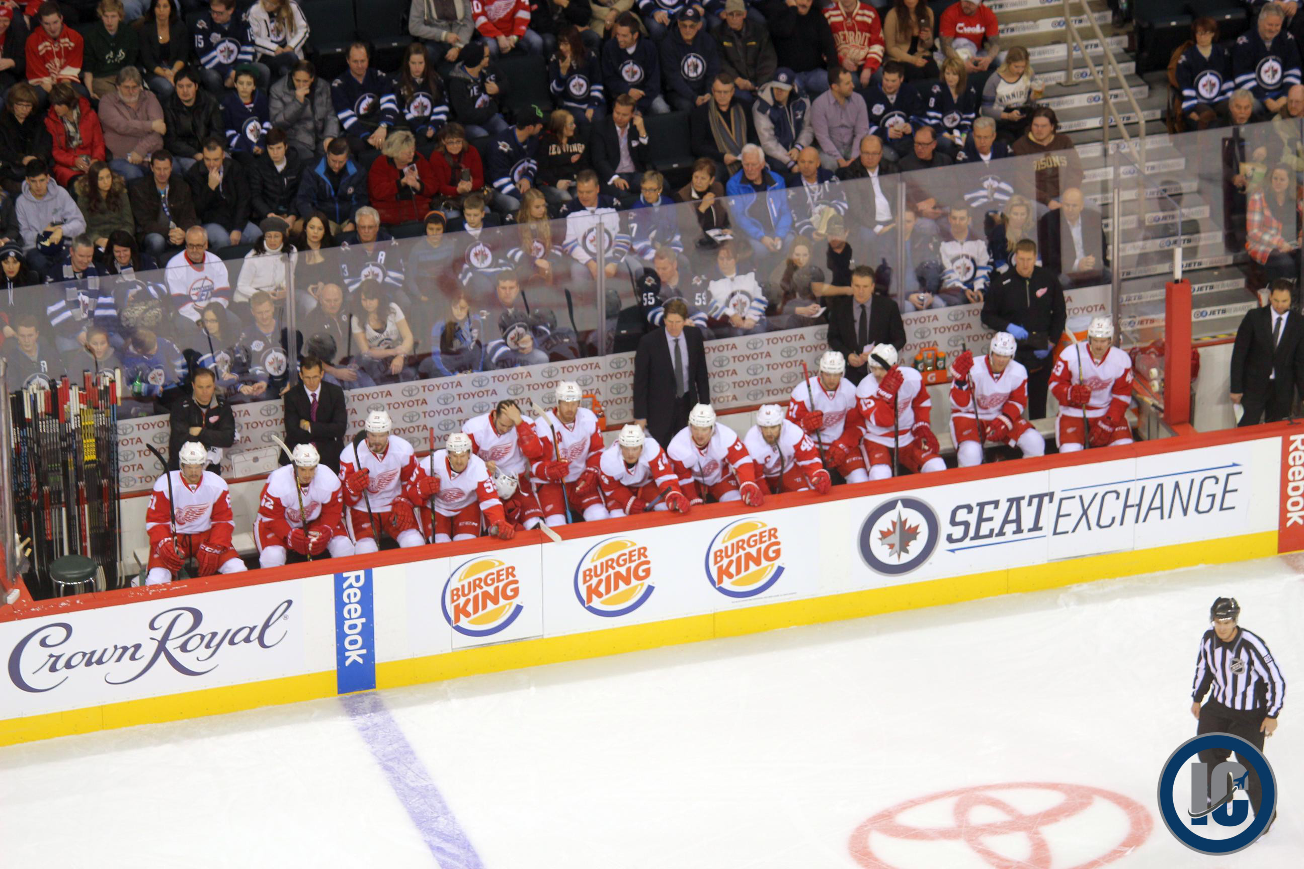 Red Wings bench Nov 20 2014