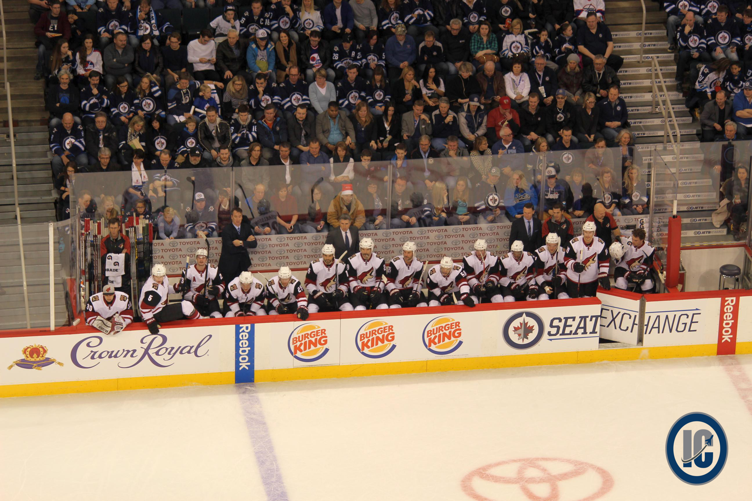Coyotes bench
