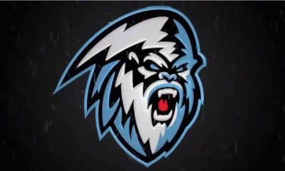 Winnipeg Ice logo