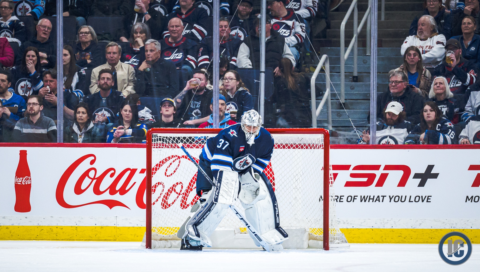 TSN | Hot or Not: All Winnipeg Jets edition