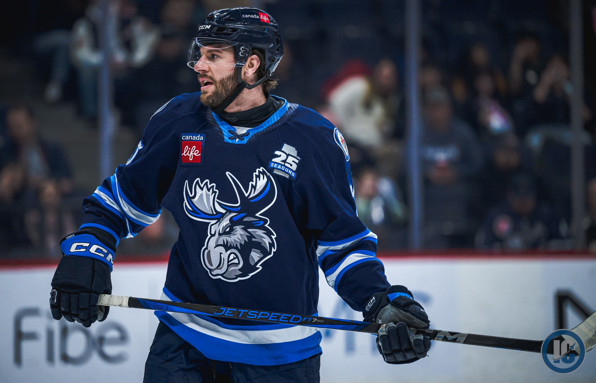 Manitoba Moose sign Empey, Anhorn & Vitelli to one-year AHL deals