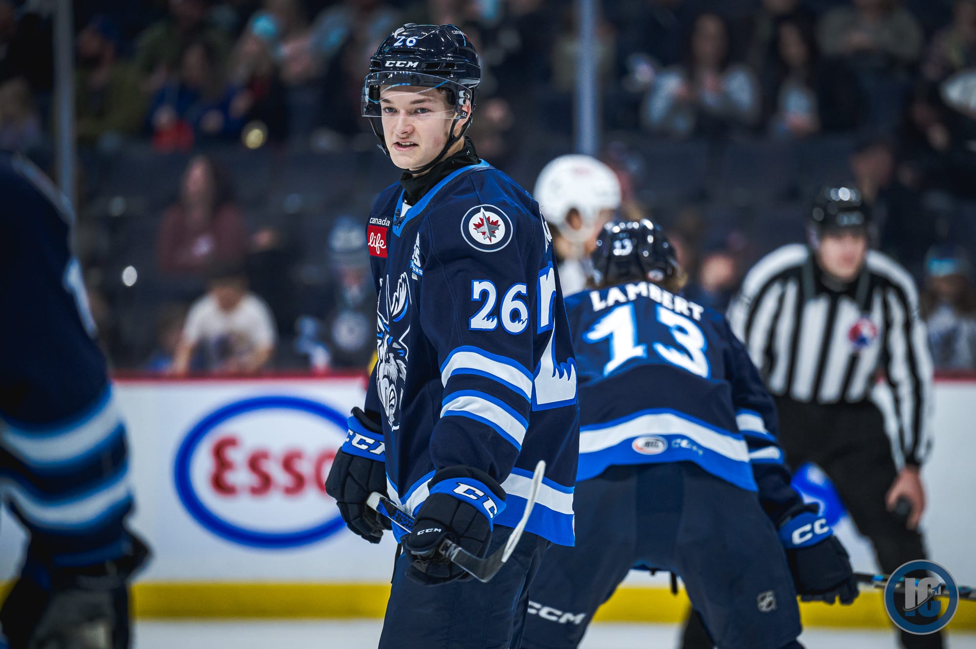 Manitoba Moose 2025-26 schedule