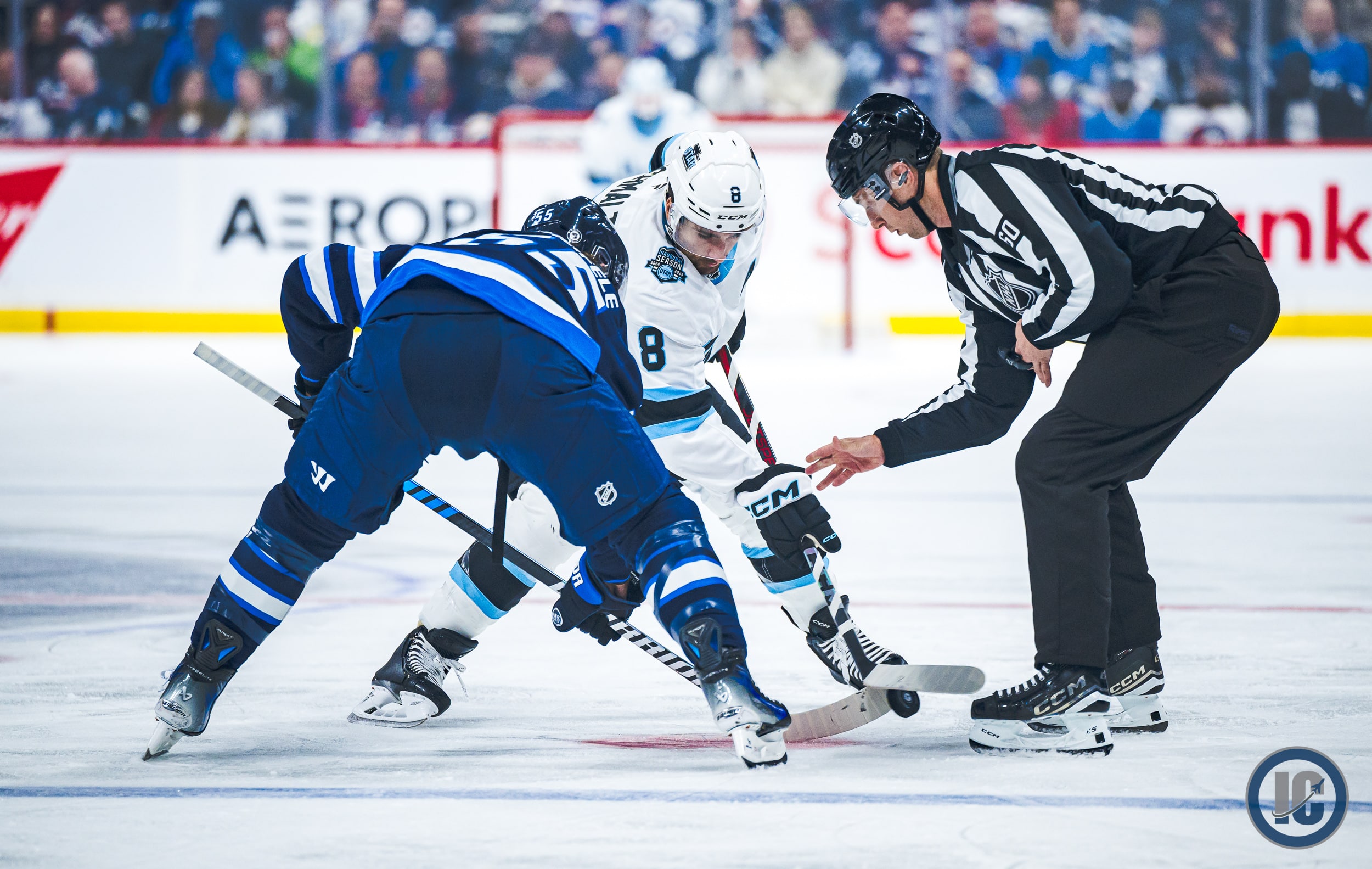 Winnipeg Jets Morning Papers